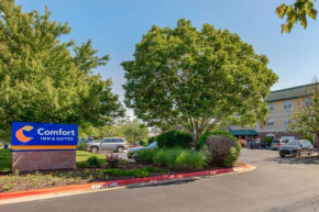  Comfort Inn & Suites Fayetteville-University Area  Фейетвилл